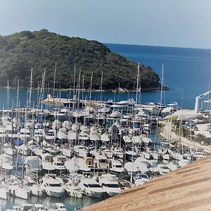 https://apartments-papilon.in-istria.net
